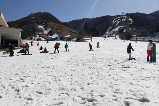 ラストスキーに行ってきました⛷