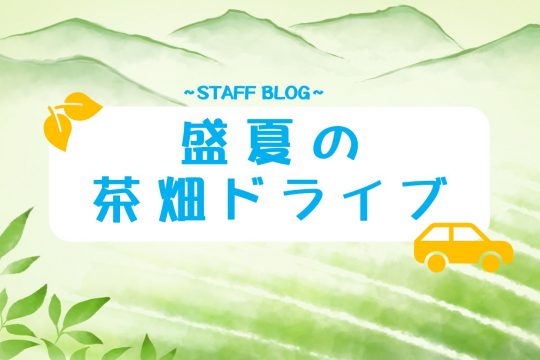 盛夏の茶畑ドライブ