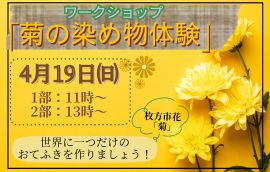 ワークショップ【菊の染め物体験】